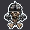 Ace-of-Bornheims Avatar